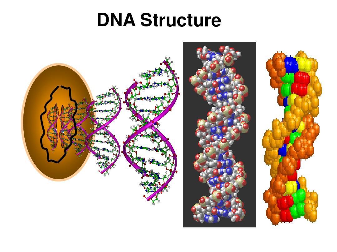 多发性硬化症发病多少年后恶化,多发性硬化症发病