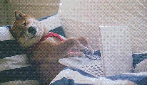 牙刷电动玩具,电动牙刷玩具枪