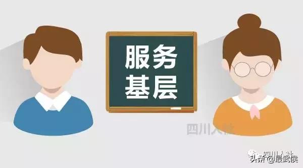 四川选调生2024公告职位表,四川选调生2024选调公告条件