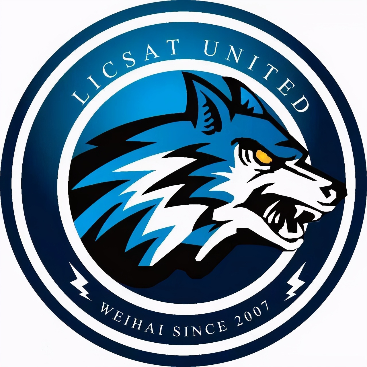 山东足球俱乐部队徽,山东省队徽章