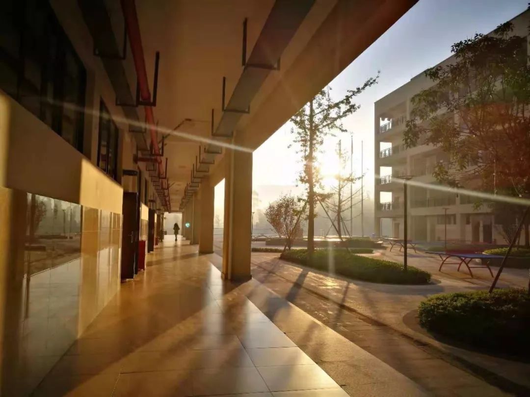 重庆育才高中班型,重庆育才中学各校区排名