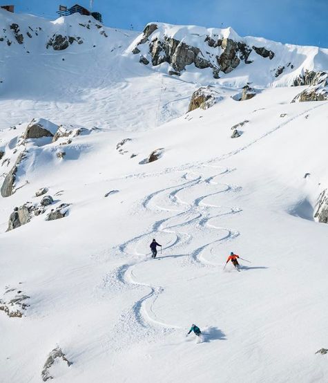 冬季世界冠军,世界冠军的辛酸