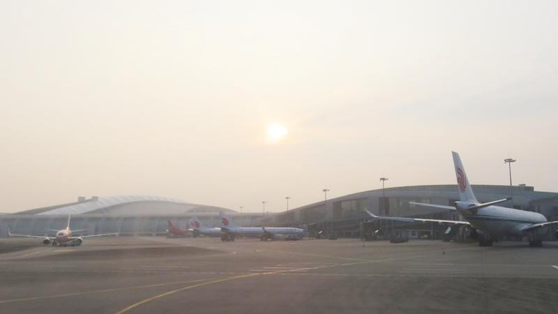 湛江新机场建设进展,湛江新机场建设最新消息