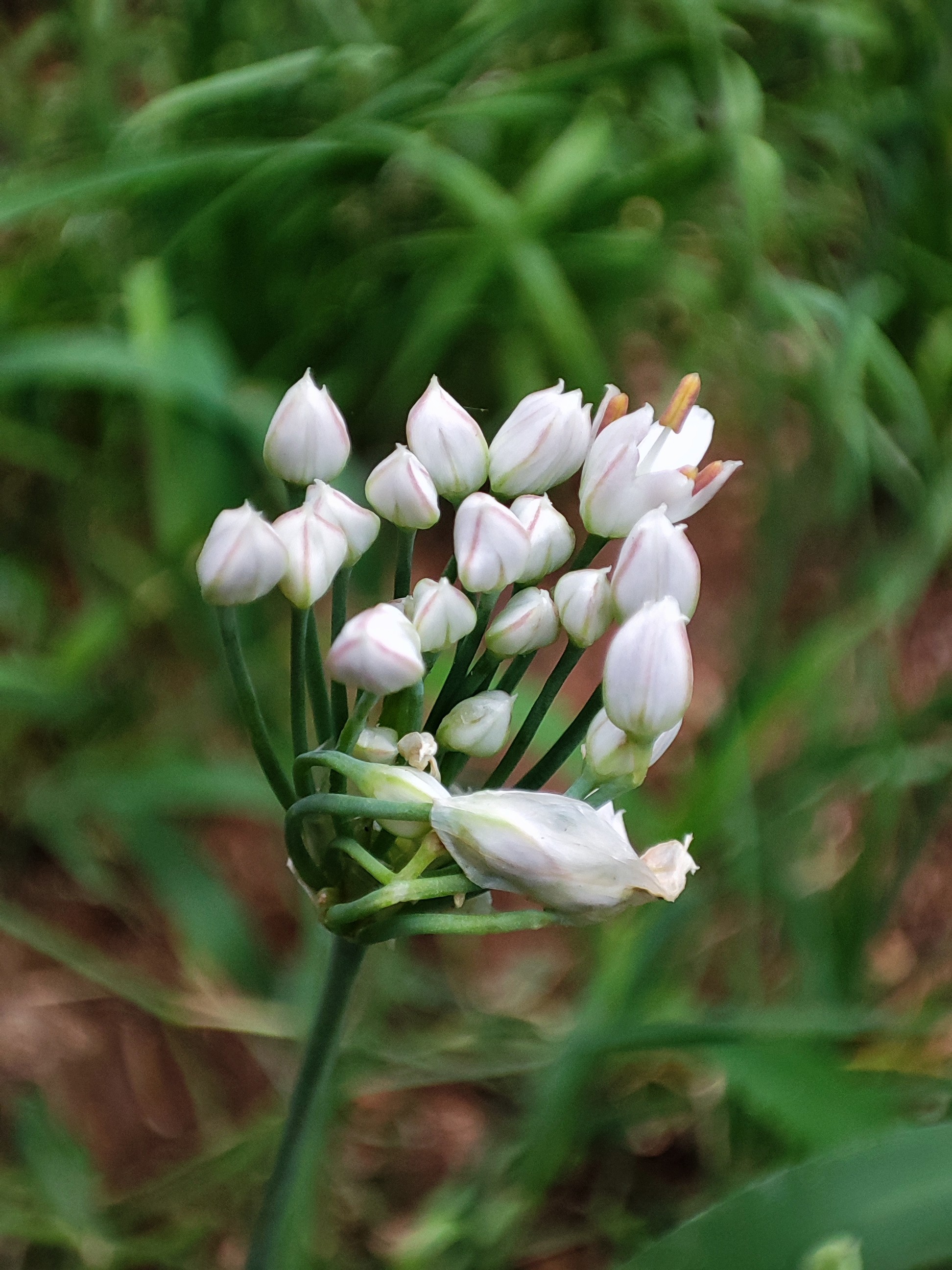 一字之差最佳治疗方法,一字之差有什么讲究