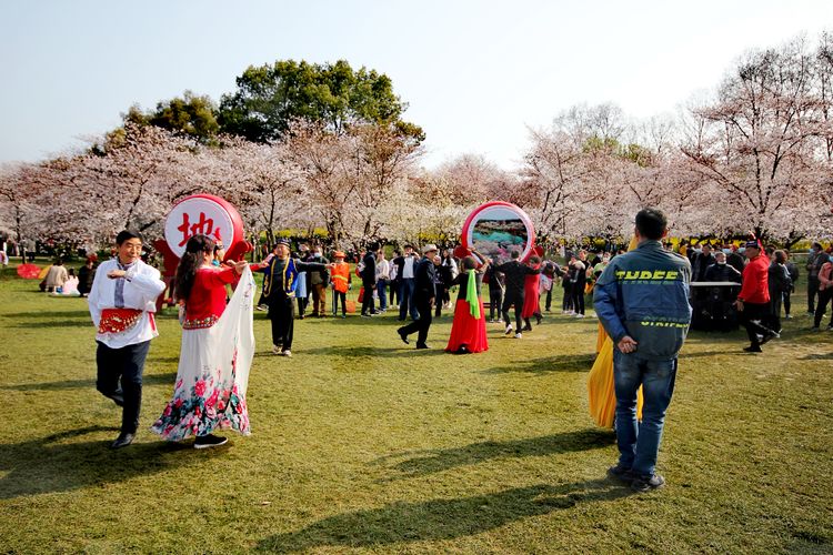 鑻遍泟褰掓潵妯辫姳鏈夌害,妯辫姳鐩涘紑鑻遍泟褰掓潵瀹屾暣瑙嗛