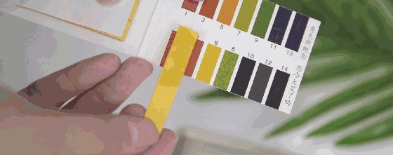 浴后留香的正确方法,沐浴露留香技巧