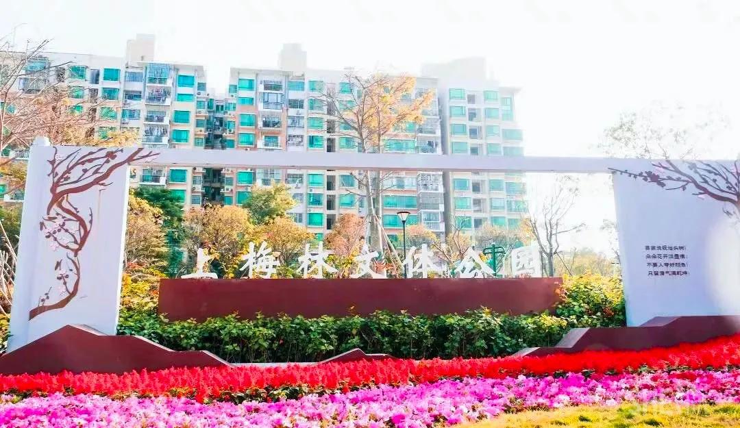 9号线上有什么景点吗,9号线游玩攻略大全