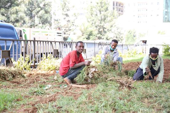 谢谢你们，我的生活很好，学习很棒