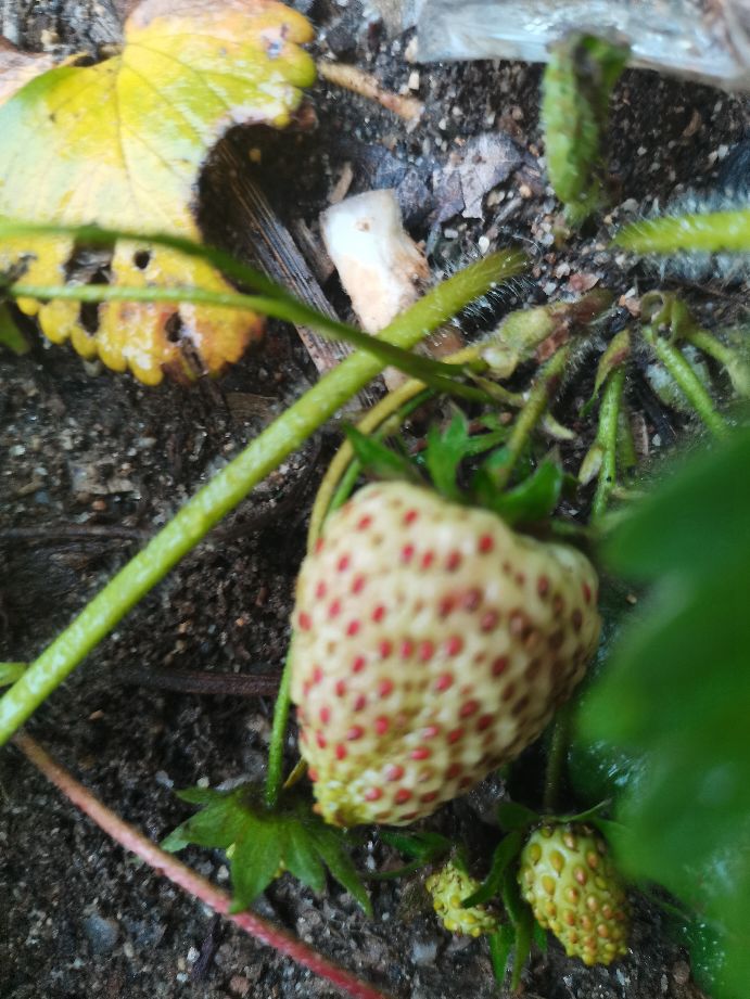 下雨天怎么办,下雨天怎么办歌曲