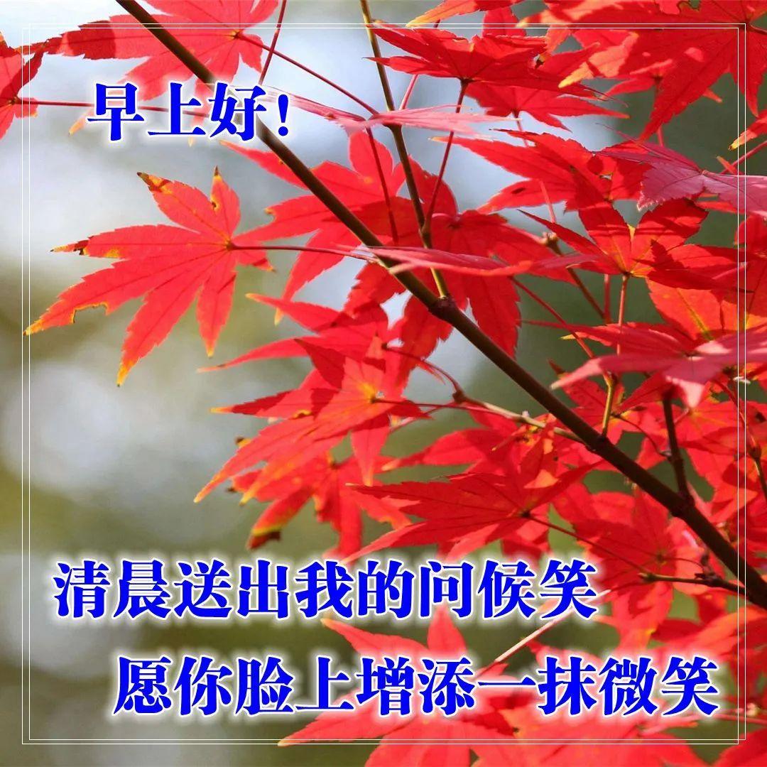 早上好表情图片带字早上好问候语,早上好祝福问候语大全简短图片