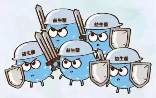 疫情蔓延，免疫力提高是关键！益生菌的秘密你应该要记住