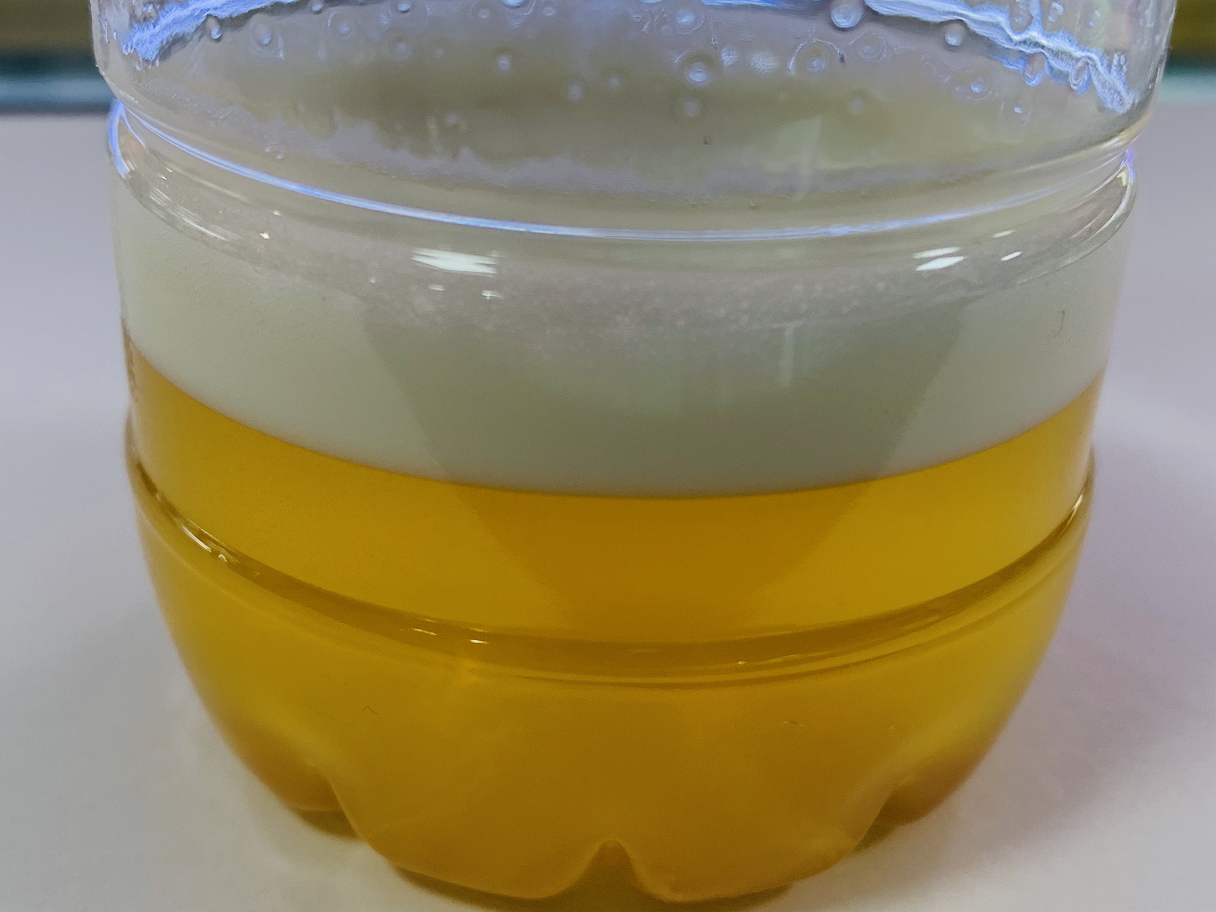 辨别蜂蜜真假野生蜂的方法,蜂蜜真假鉴别最简单方法椴树