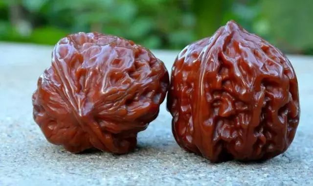 核桃尖修复价格,核桃尖用什么补最好