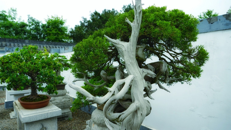 茅山宝盛园周边游玩,茅山宝盛园所有游乐设施