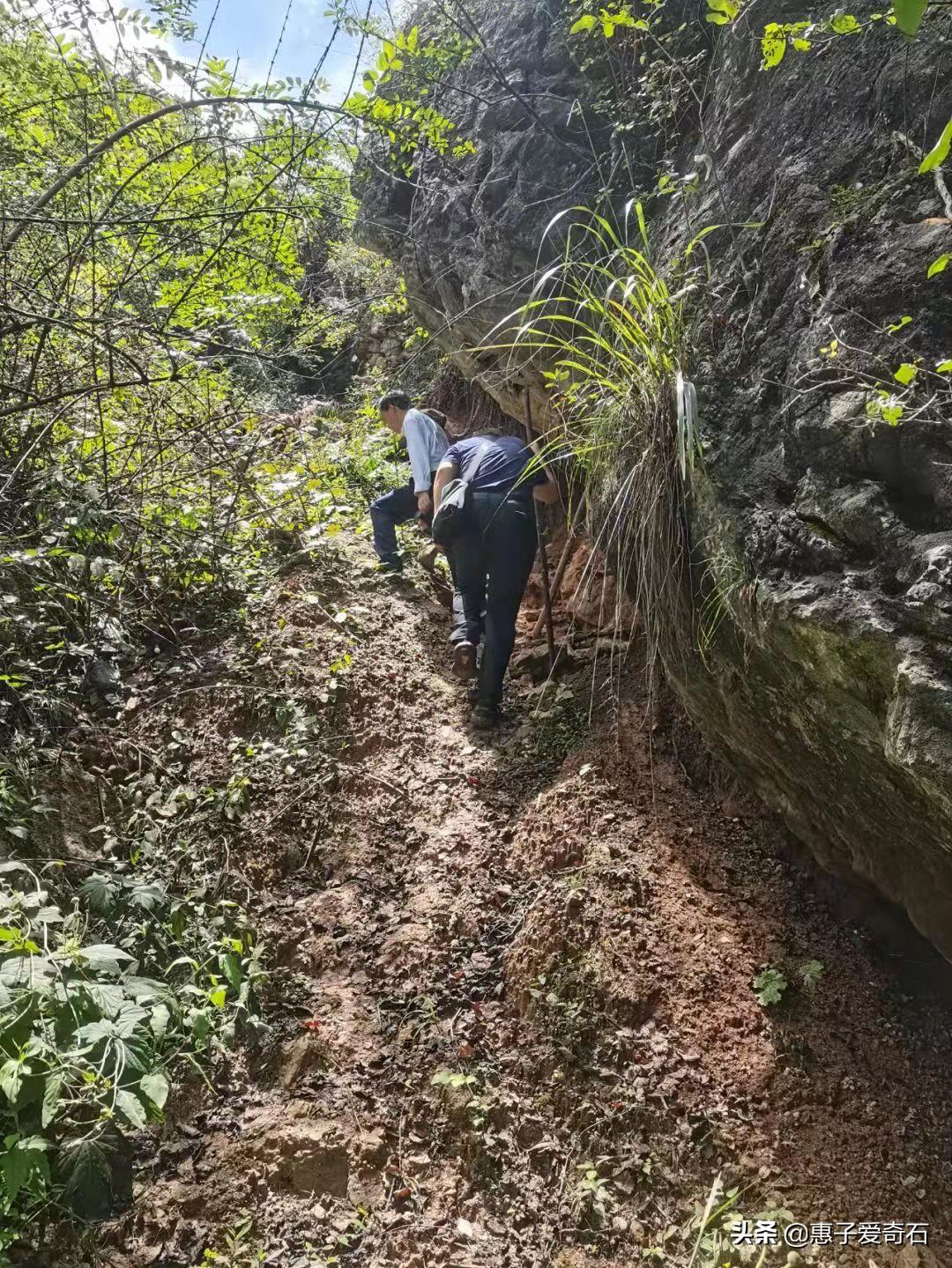 陕西新发现的玉矿,陕西发现紫绿色的玉