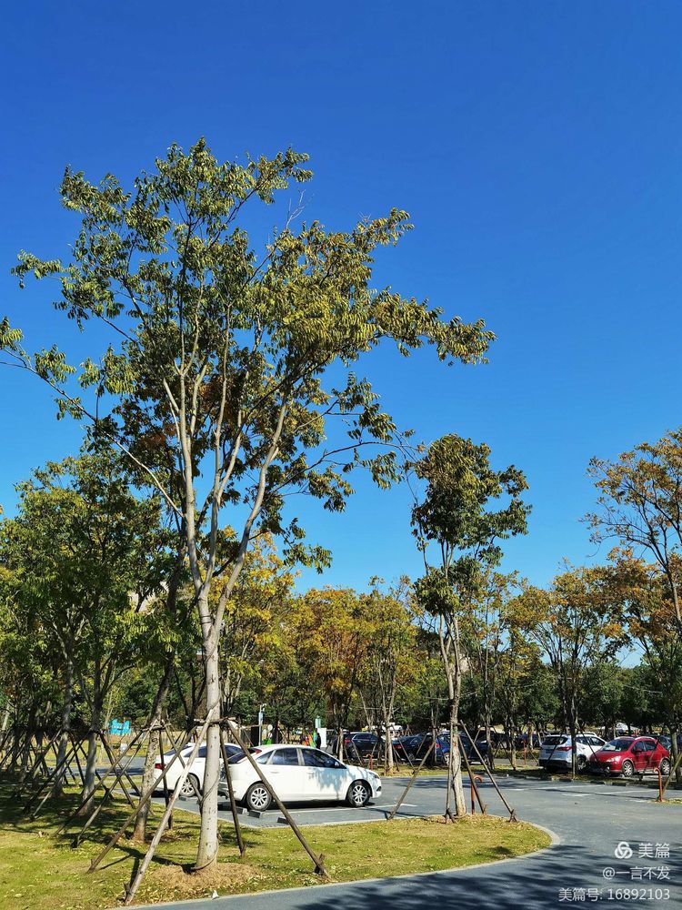 南京园博园时光亦谷游玩攻略路线,紫清湖和园博园哪个值得一去