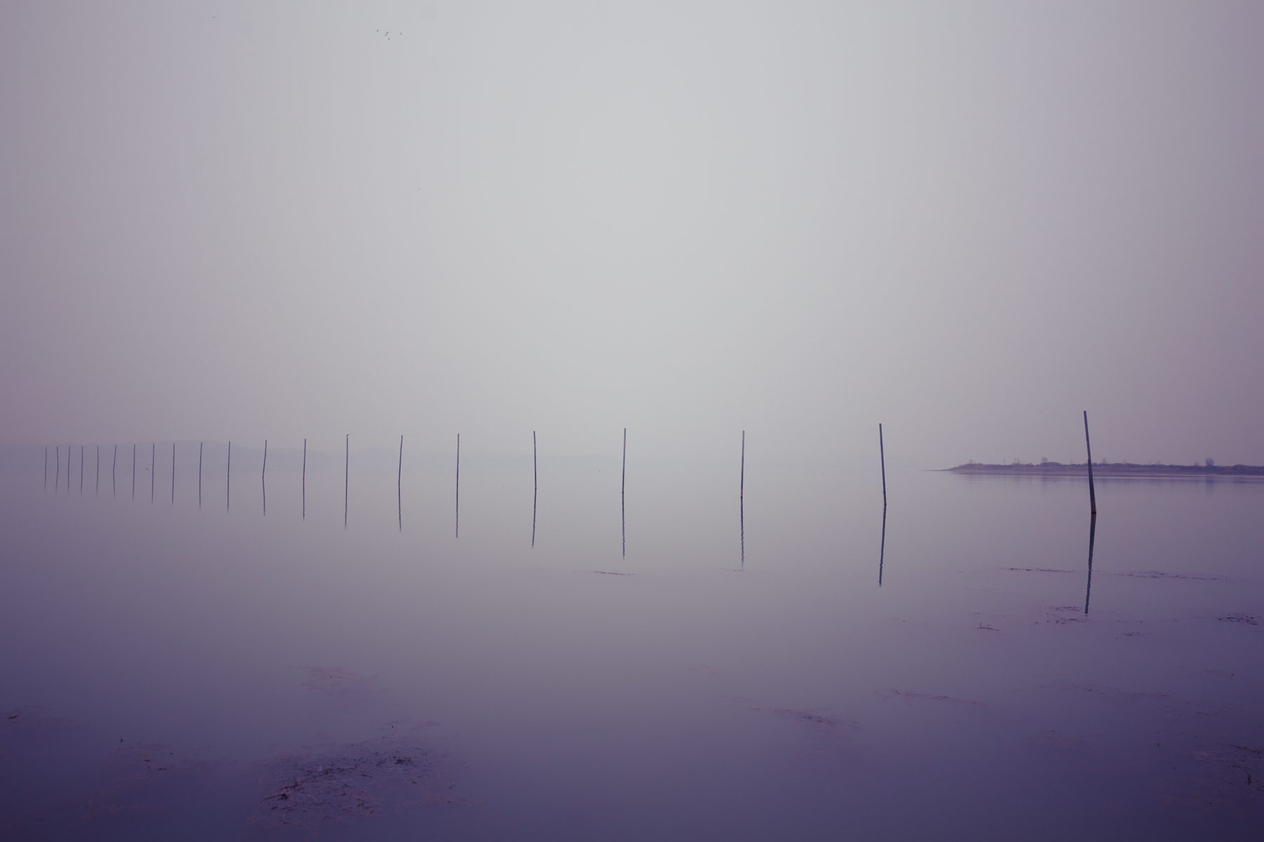 武汉哪里吃螃蟹风景最好,武汉人去青岛玩的地方