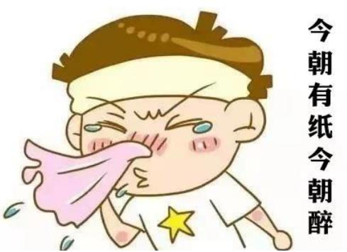 适合过敏性鼻炎的益生菌,澳洲舒鼻益生菌对鼻炎有用吗