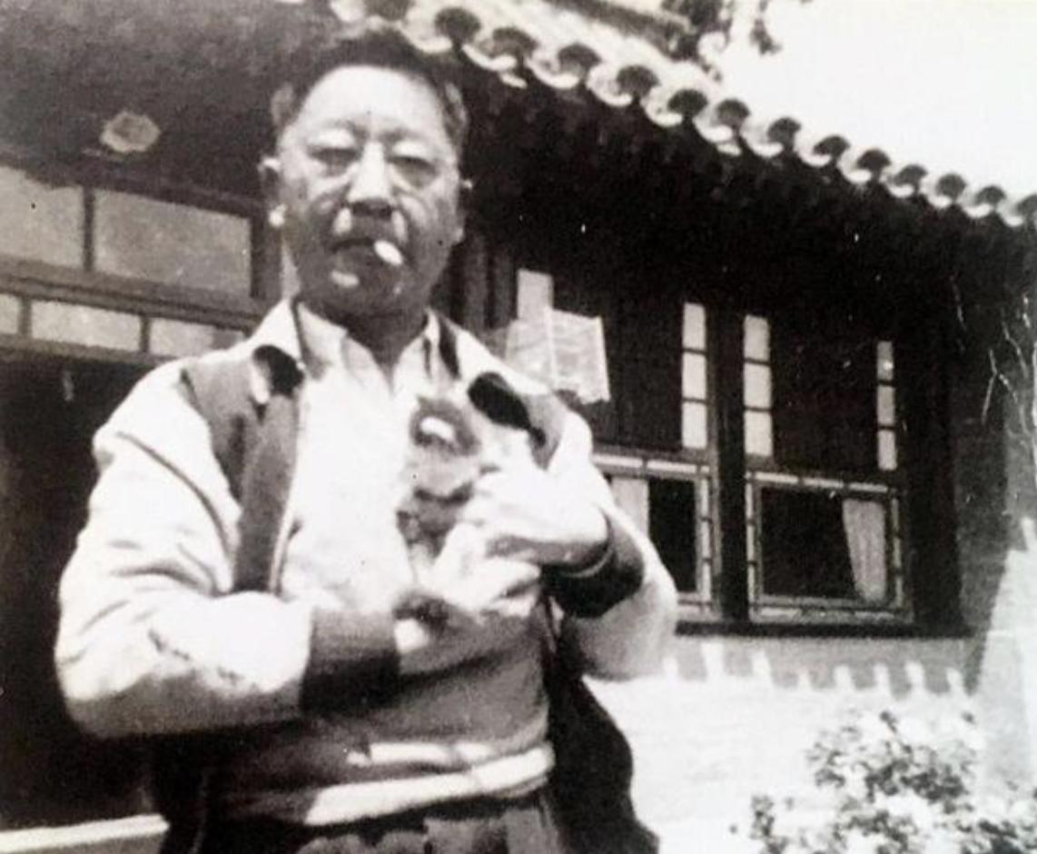 为什么养不好小猫咪呢,养了一年的小猫咪野性还是挺强