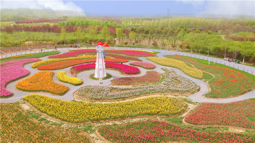 我和宿州有个约会，一场花事，一次慢旅行，探寻最烟火的宿州味道