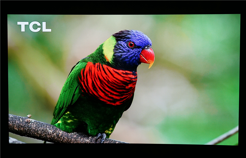 七千字！威动V20、艾美影库MS-300Pro、芝杜Z10高清*放播**器横评2