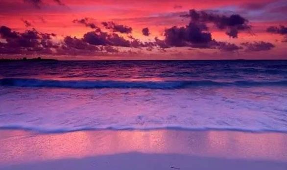 世界上粉色海滩,世界上的粉色沙滩在哪