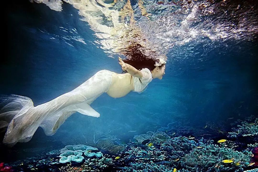 巅峰之夜湖南卫视,湖南卫视巅峰之夜咏春