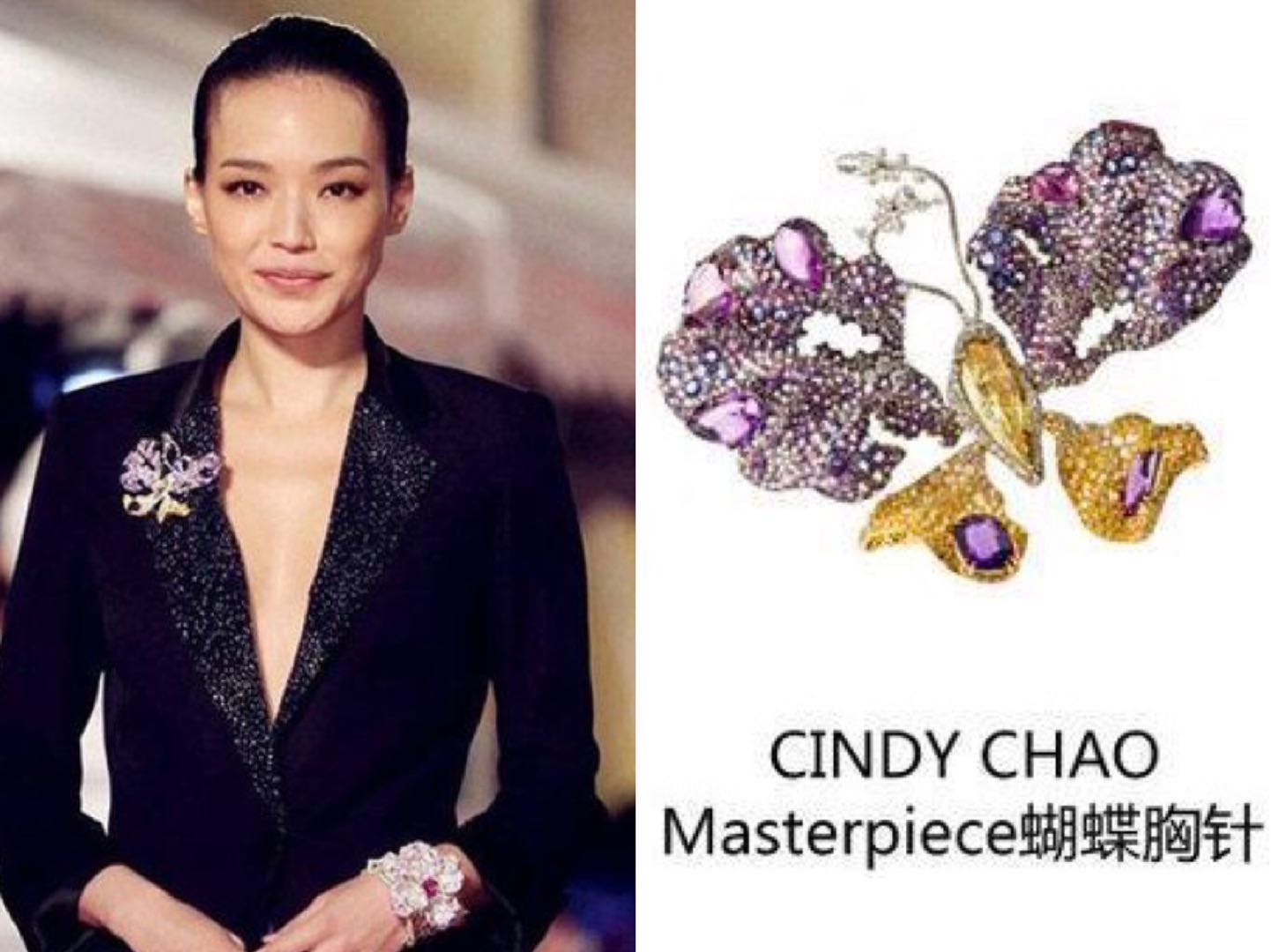 盘点那些年私藏的精致胸针,华丽又精致的蝴蝶胸针