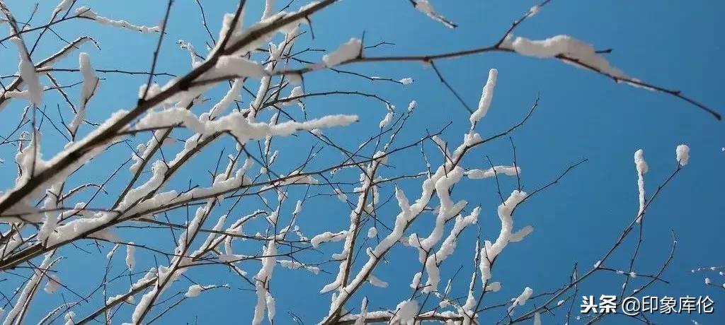 库伦政务最新新闻,库伦政务