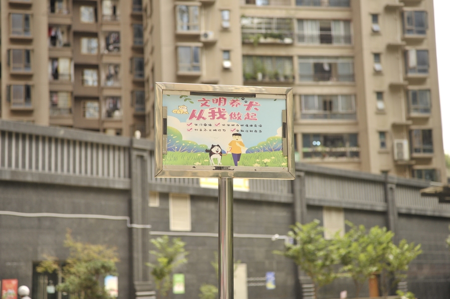铲屎官文明养犬才是硬道理,文明养犬倡议书亲爱的铲屎官们