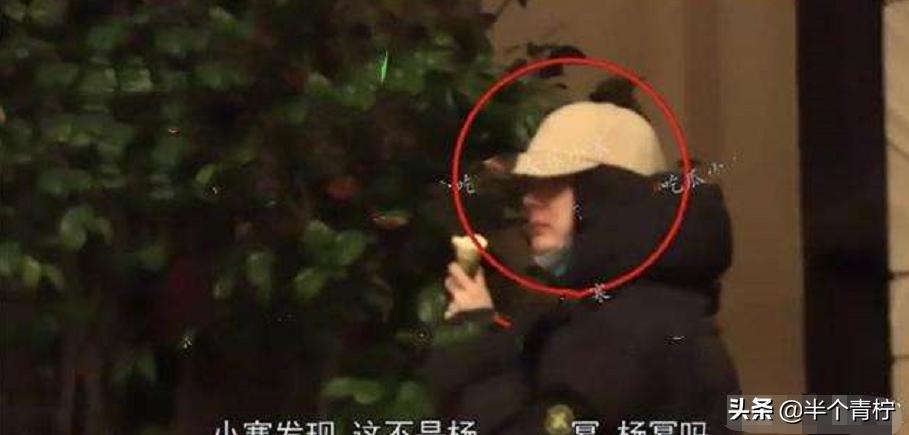 杨幂魏大勋真的在一起了吗,魏大勋直奔杨幂住所疑同居