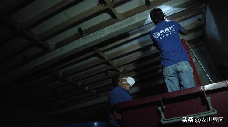 了不起的新农人|给金丝燕打造一个五星级的家,专访老燕行廖文烽