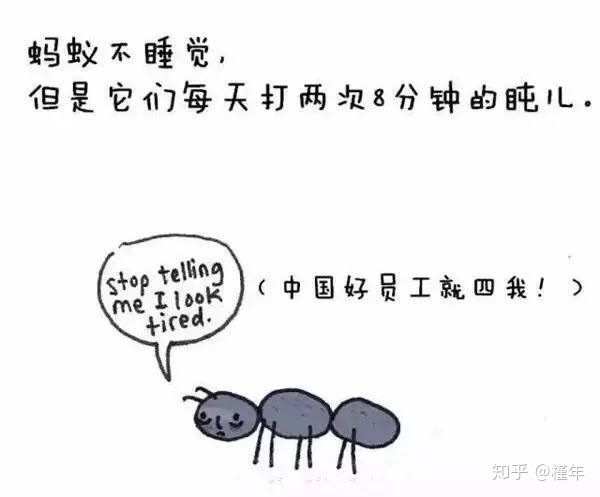 想象中不一样的动物冷知识,悲伤的动物视频