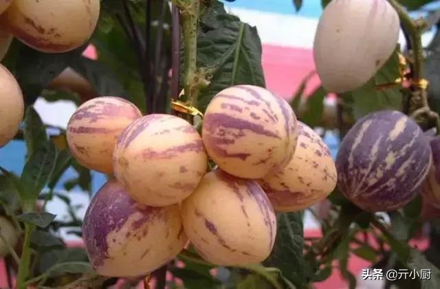 三亚有什么特产带回家送礼的,在三亚有哪些好吃的特产