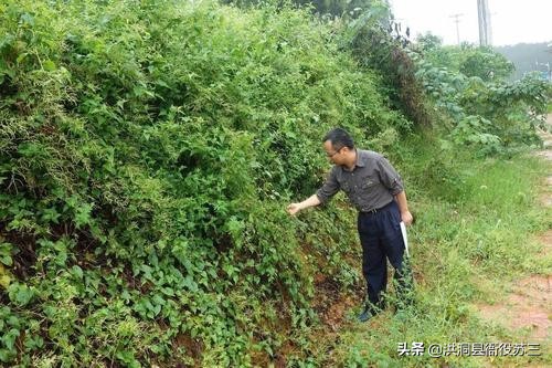 县林业局事业编,乡镇事业编和县局事业编哪个好