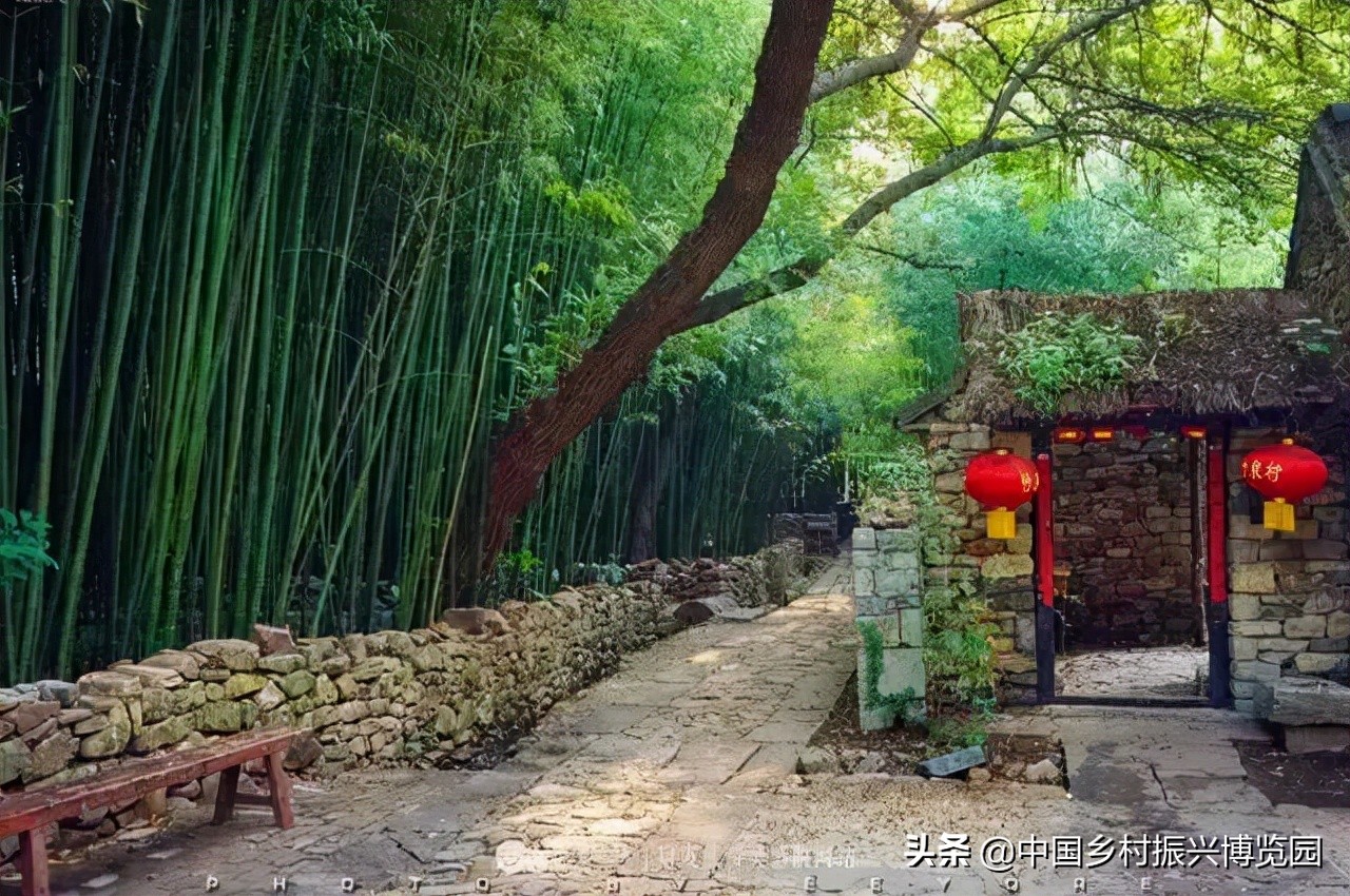 乡村振兴典型项目,乡村产业振兴十大标杆模式