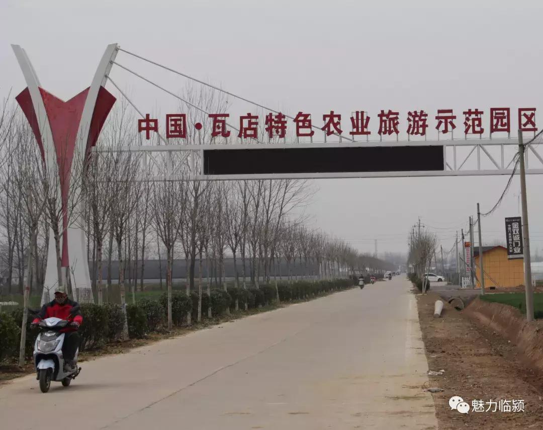 临颍:尚纪安计划5年把刘庄打造成河南最大的花卉种植交易基地