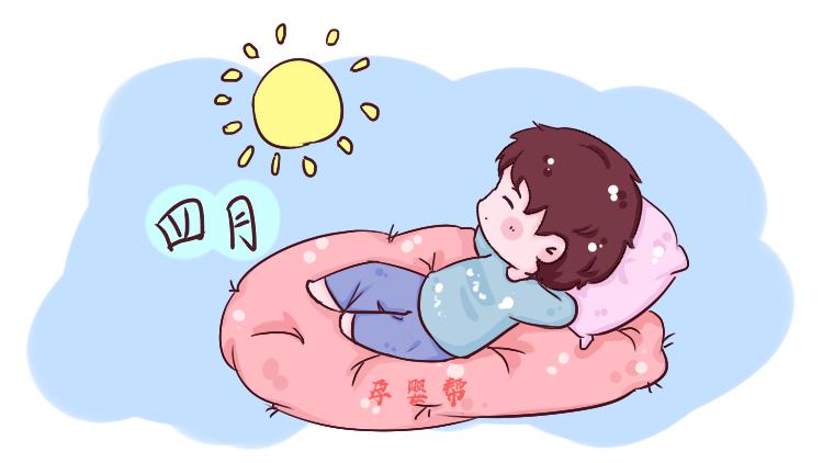 农历几月出生的猪最有福气呢,猪宝宝和狗宝宝哪个更有福气