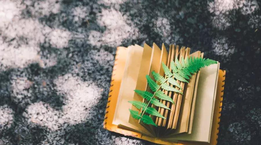 19年高考报名时间和方式,2019年高考报名条件及时间