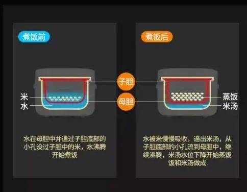 减肥什么东西能代替白米饭,降糖米饭对减肥有多大用