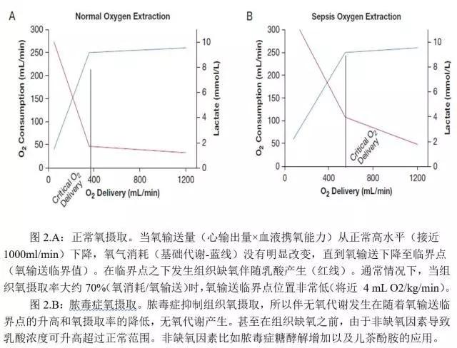 脓毒症电解质代谢紊乱,脓毒性酸中毒