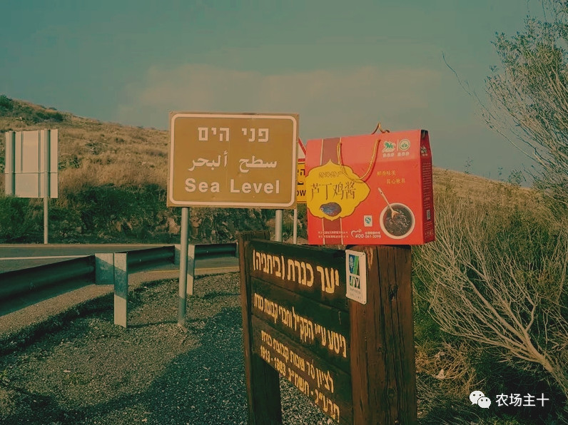 从沿街乞讨到身家亿万，“特养教父”32年的农业路堪称一部传奇史