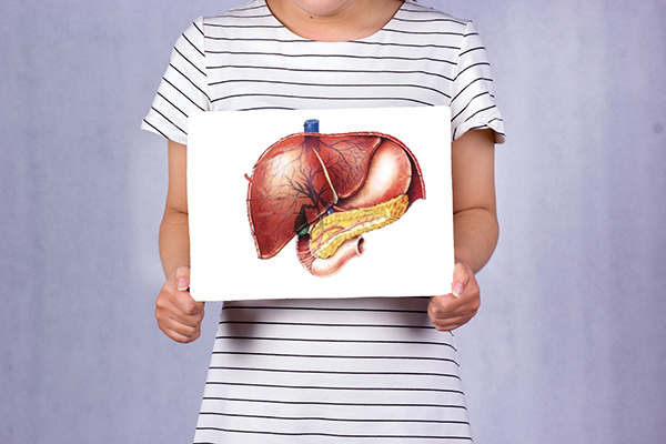 体检显示肝颗粒稍增粗,体检肝回声增粗是乙肝吗