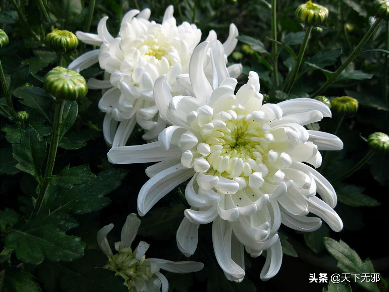 中国无神论思想的历史,中国无神论简史