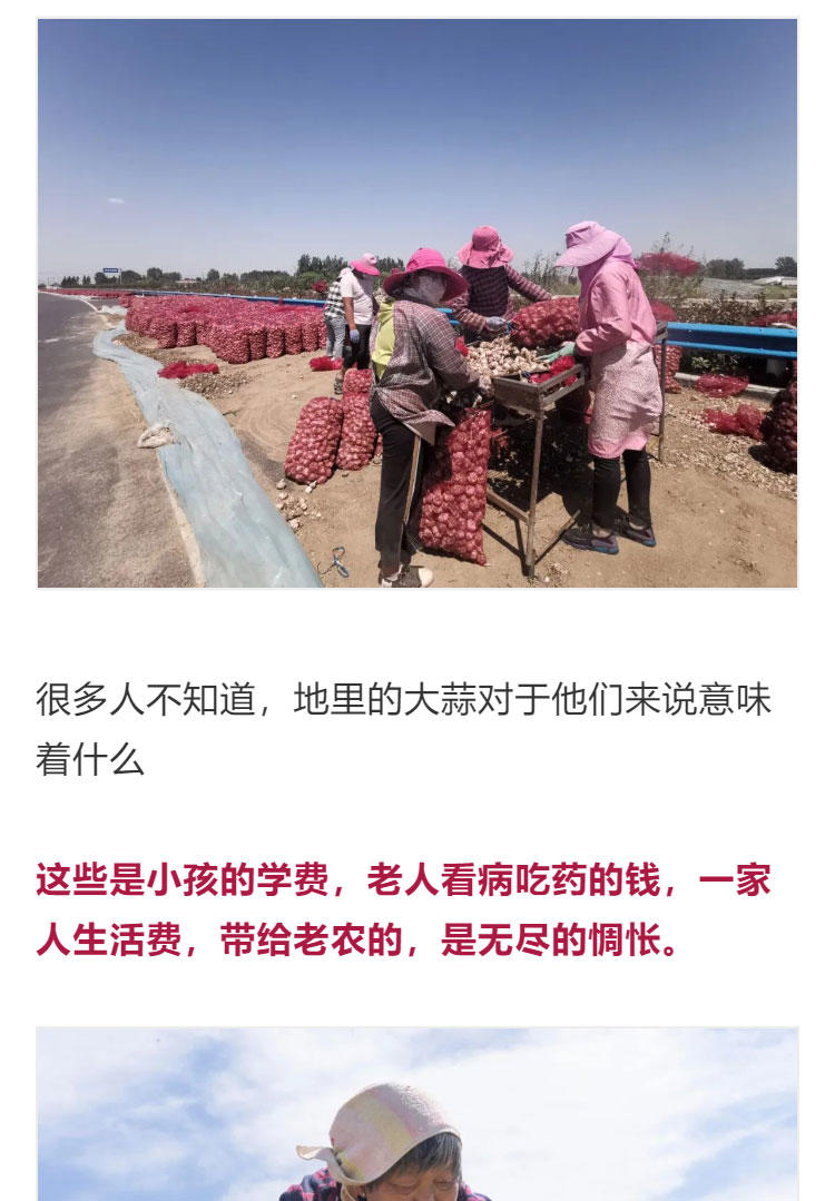 鍔╁啘鐧惧崄涓囦憨婊為攢澶ц挏,绱毊澶ц挏椴滆挏鍔╁啘5鏂よ