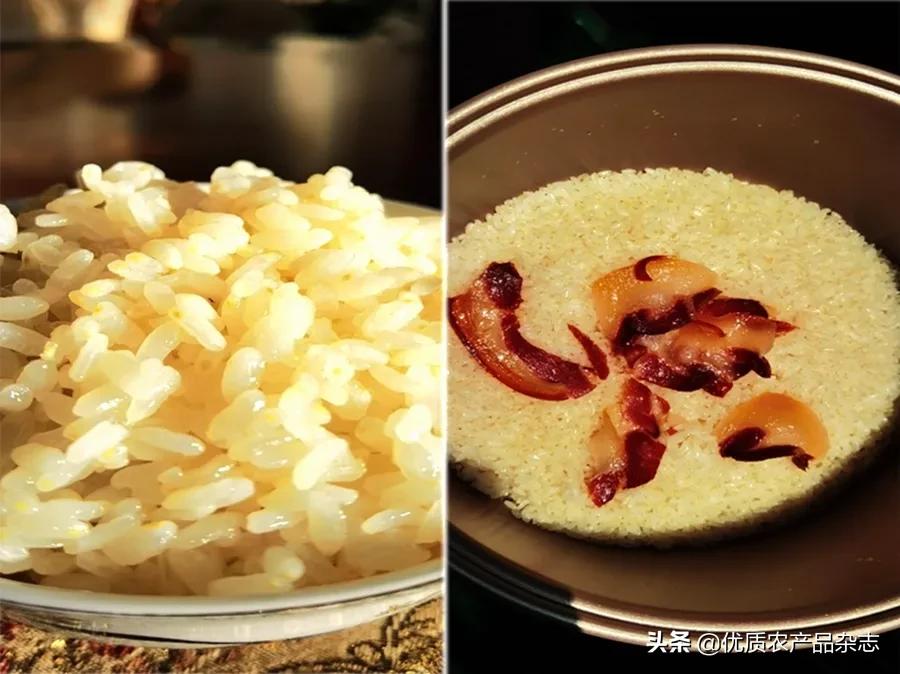 胚芽米和普通米哪个好吃,胚芽米被称为什么