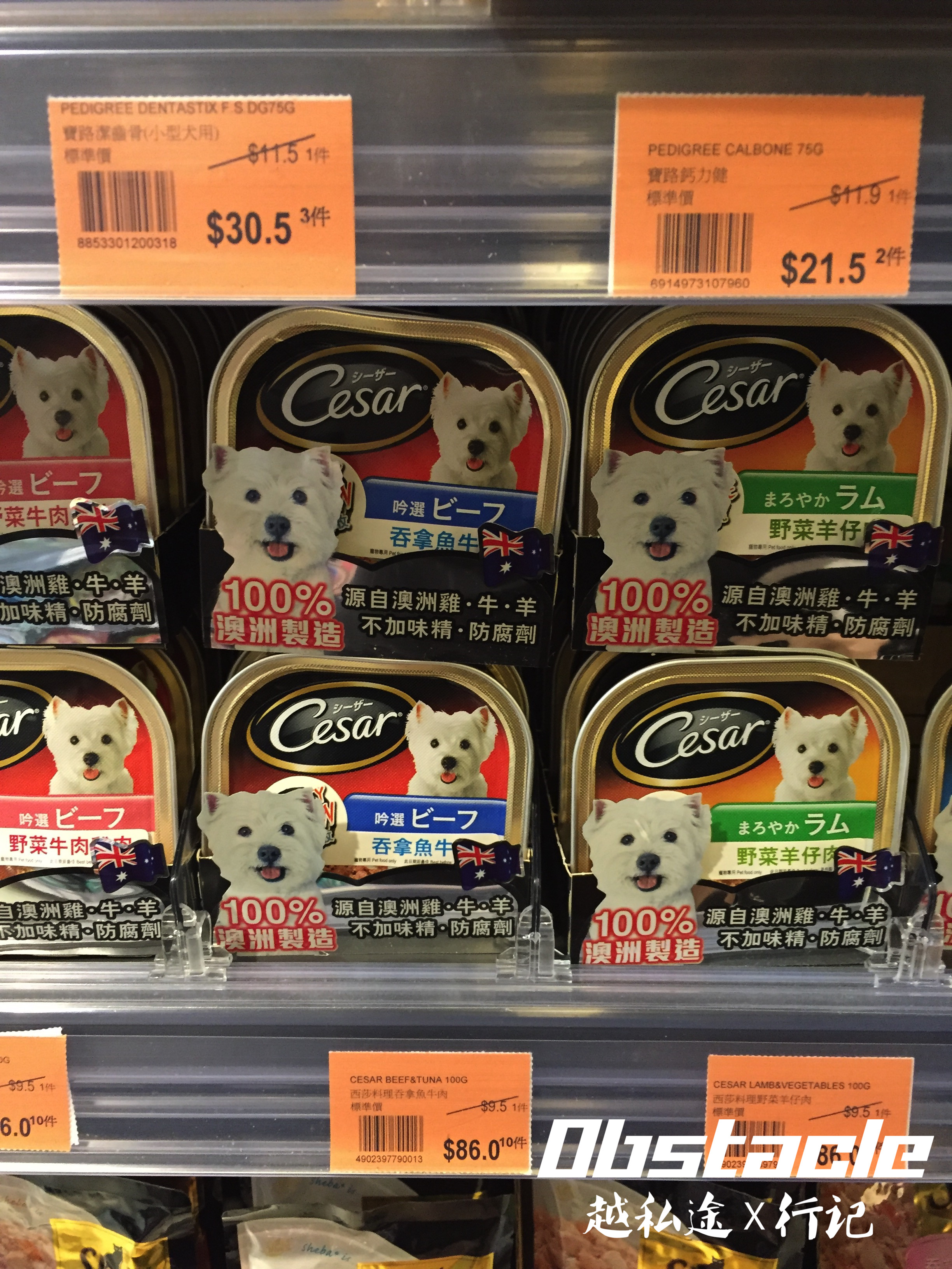 沙田打卡之旅(上编)