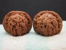 文玩品鉴视频,广善文玩精品文玩核桃