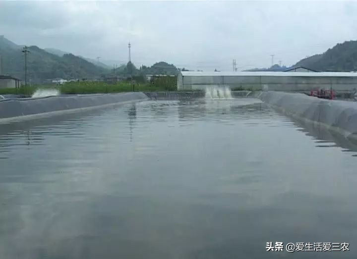 现在农村最快致富是什么行业,农民致富的手工行业