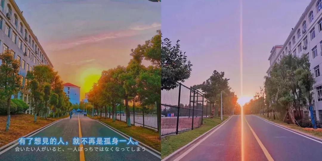 安徽文达学院信息工程学院官网,安徽33所高校预估分数线